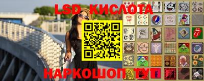 индика Гатчина