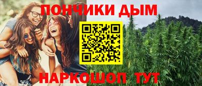 индика Гатчина