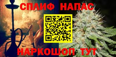 индика Гатчина