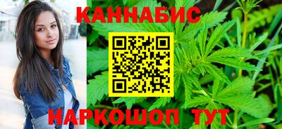 индика Гатчина