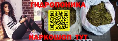 индика Гатчина