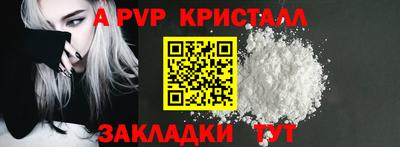 индика Гатчина