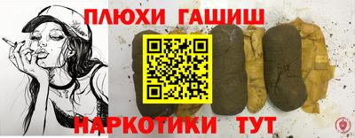 индика Гатчина