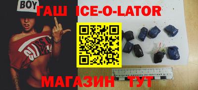 индика Гатчина